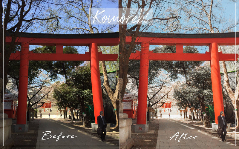 Kyoto Preset Pack